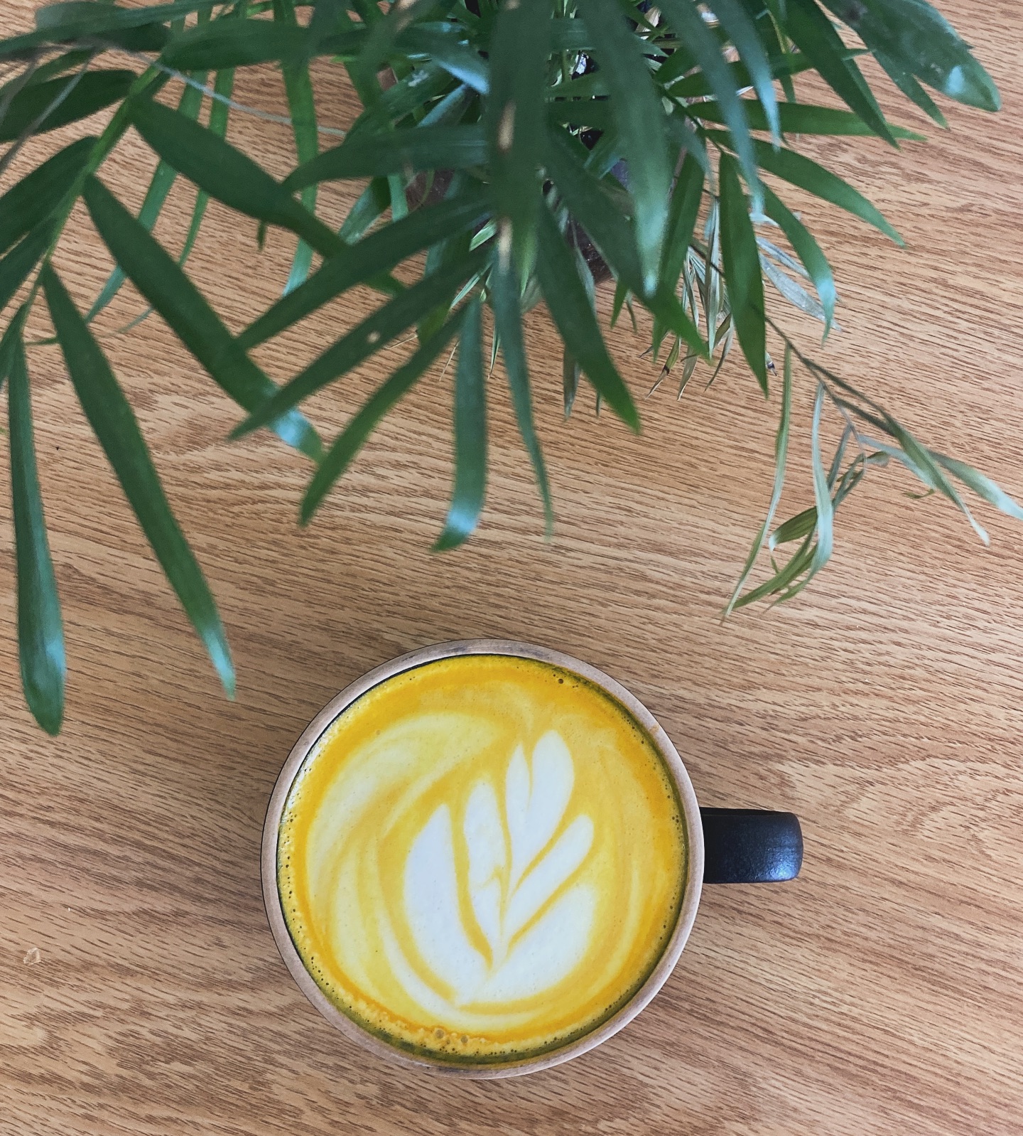 We’ve Got the Gold